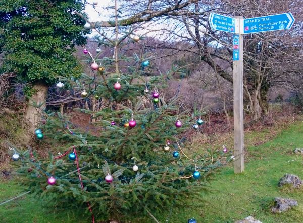 Decorated tree at Clearbrook